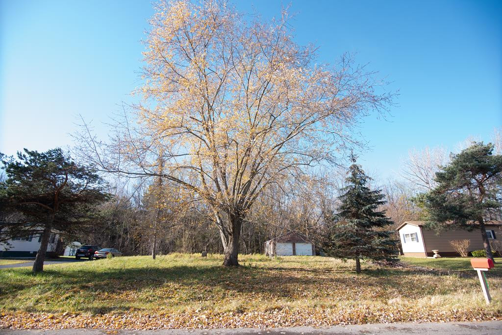 37 Michaele Avenue Plattsburgh NY 12901