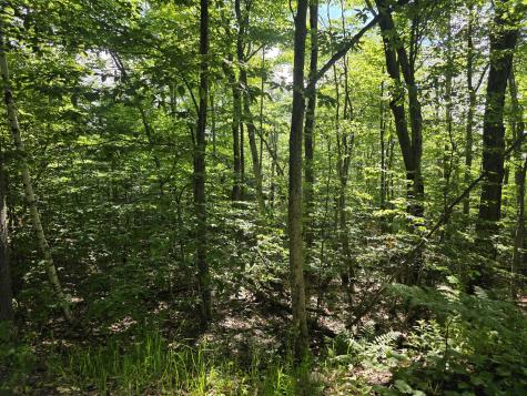 00 Nashville Road Saranac NY 12981