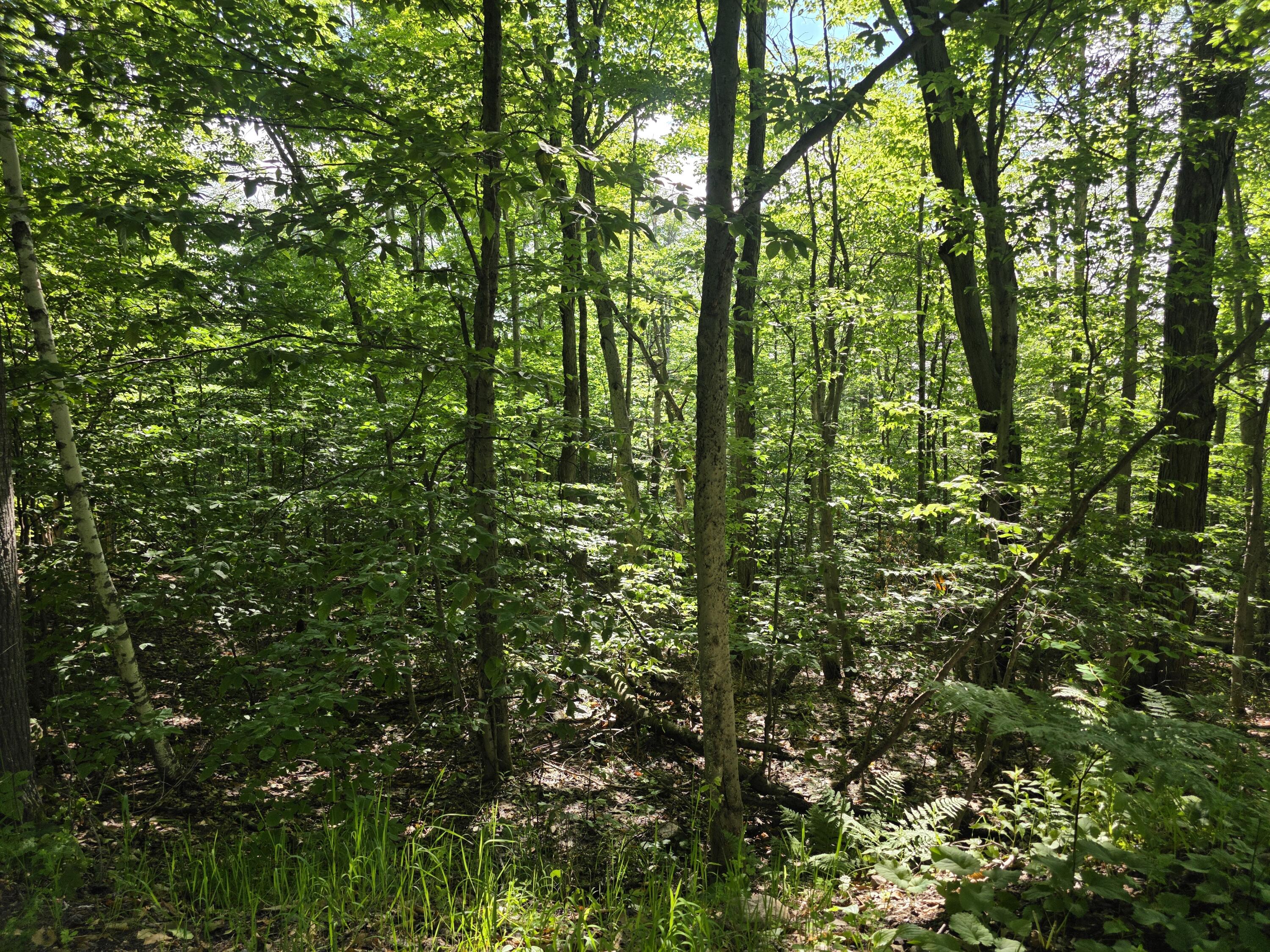 00 Nashville Road Saranac NY 12981