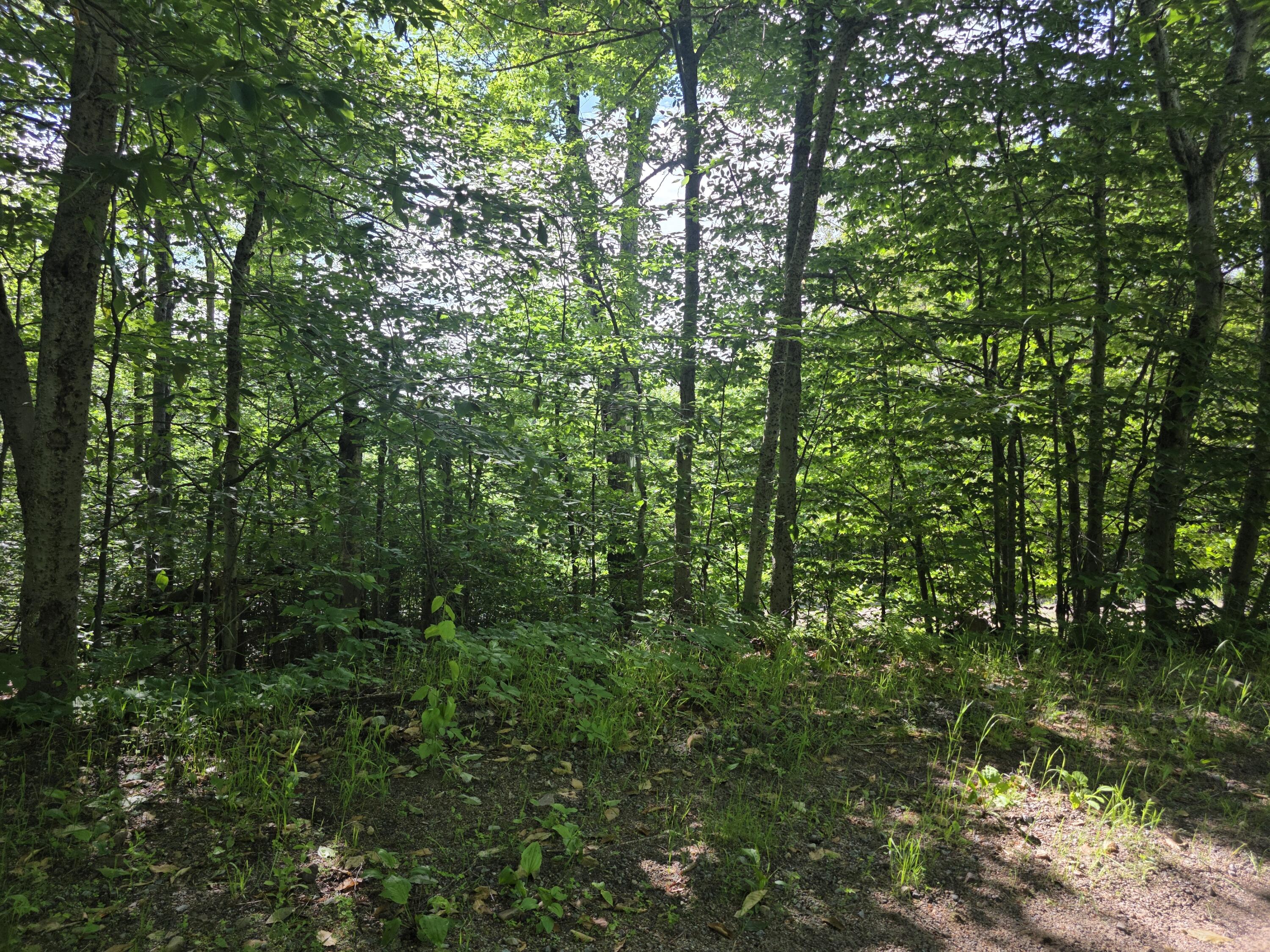 00 Nashville Road Saranac NY 12981