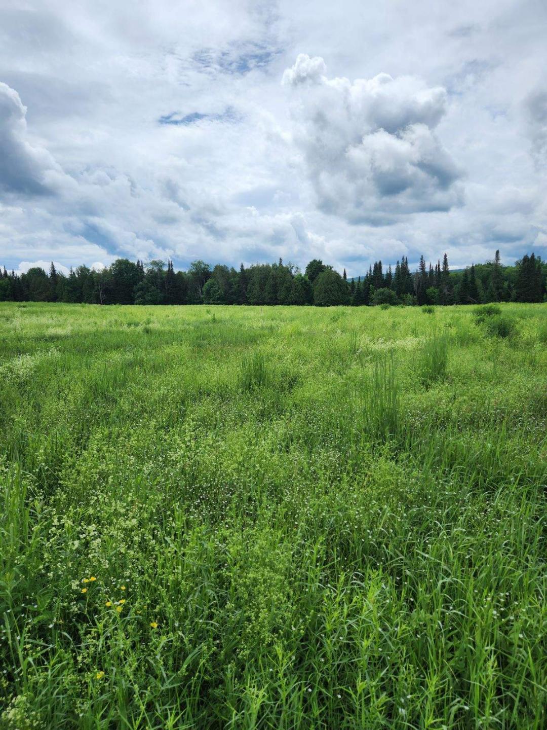 0 State Route 374 Chateaugay NY 12920