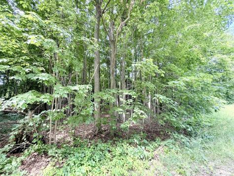 0 Chasm Road Lot 2 Keeseville NY 12944