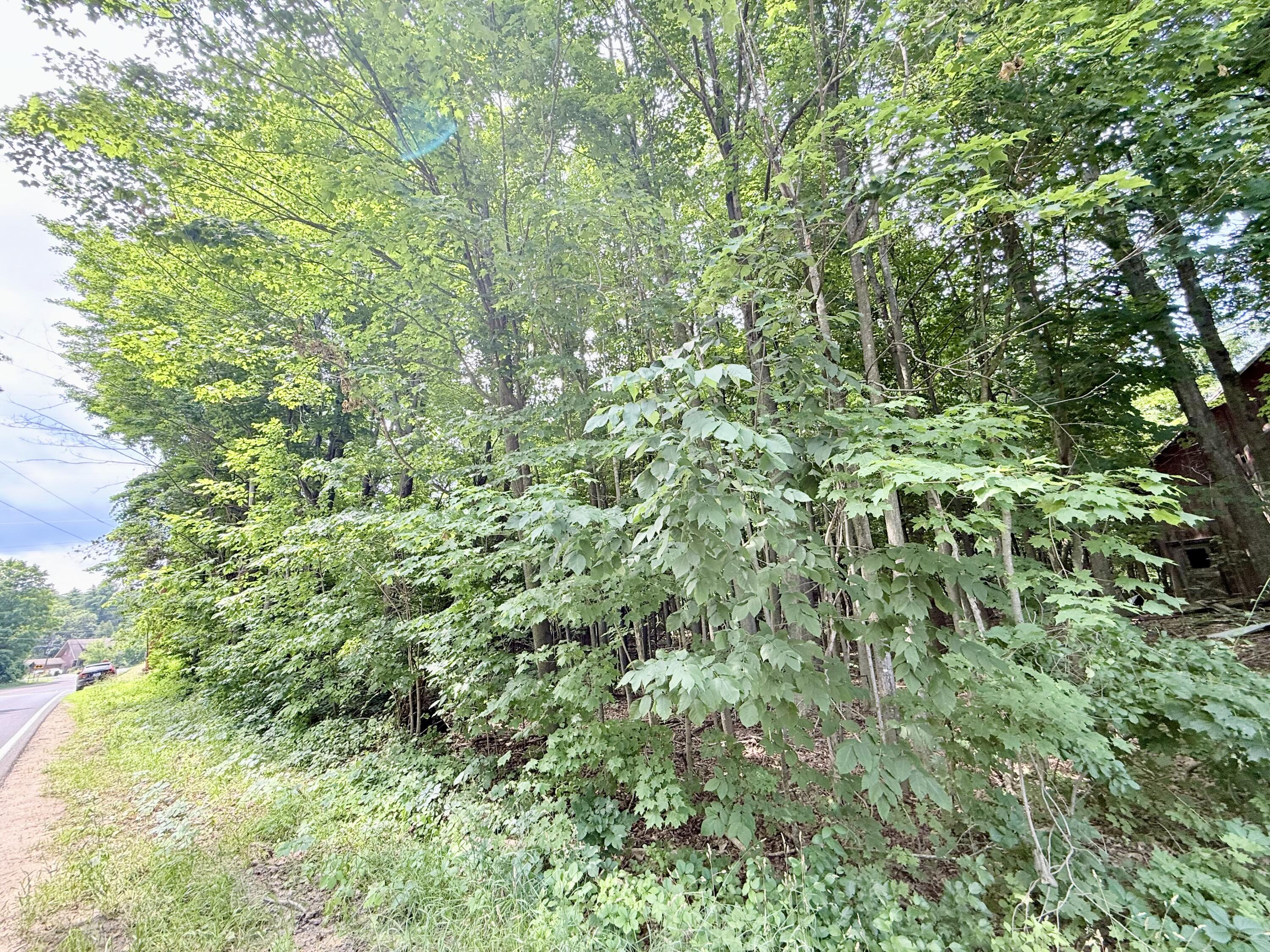 0 Chasm Road Lot 2 Keeseville NY 12944