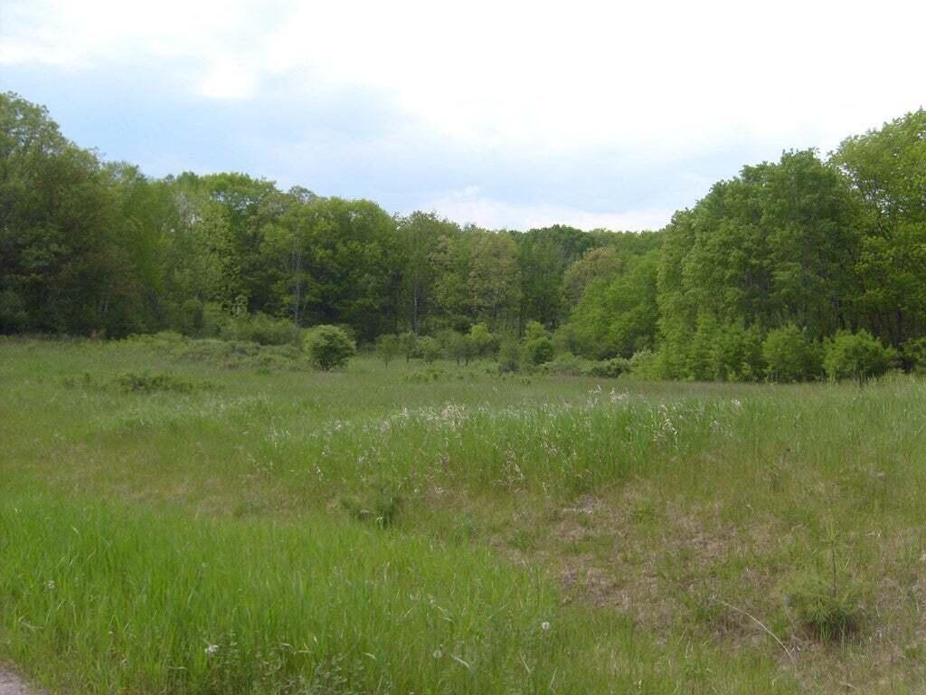 57 Commercial Park Lane Westport NY 12993