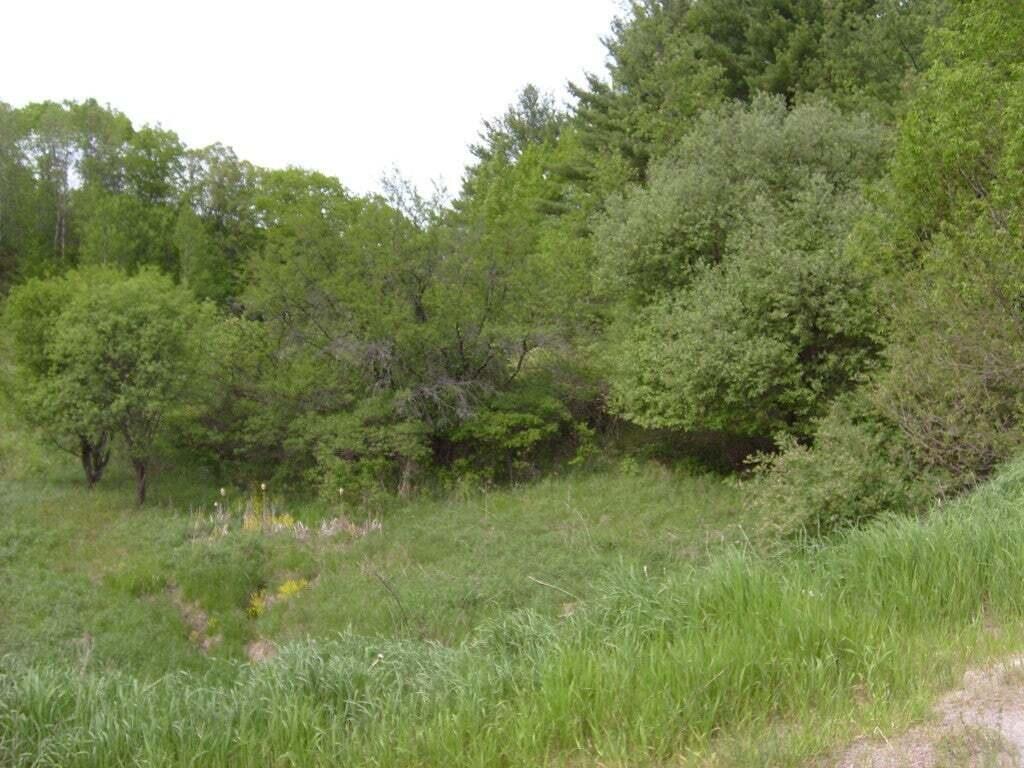 57 Commercial Park Lane Westport NY 12993