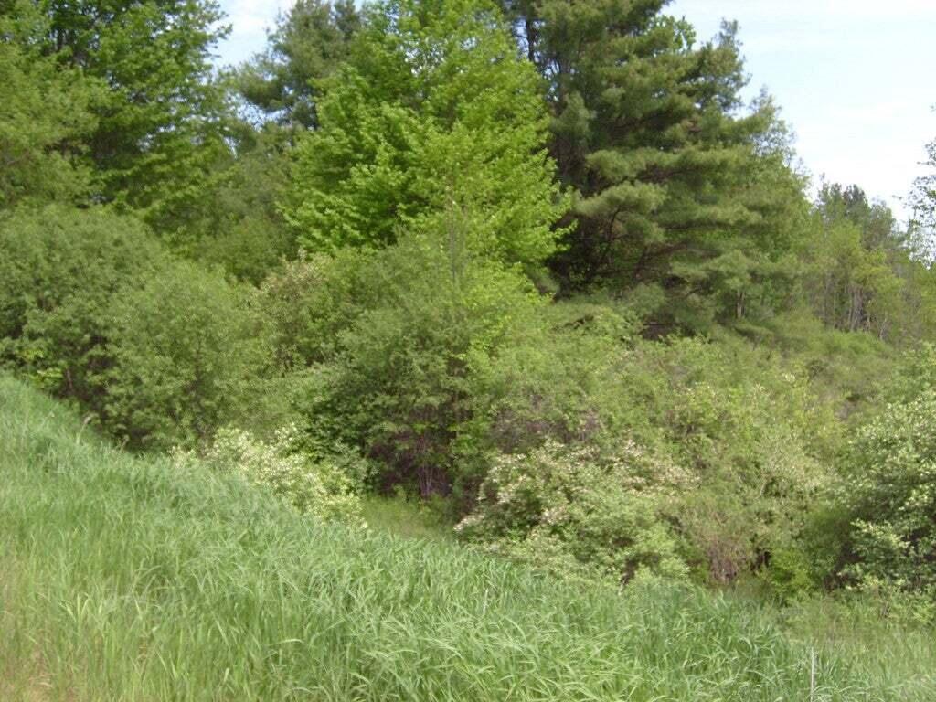 57 Commercial Park Lane Westport NY 12993