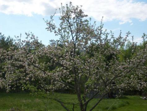 57 Commercial Park Lane Westport NY 12993