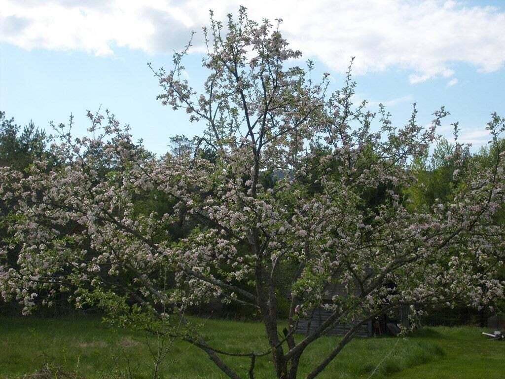 57 Commercial Park Lane Westport NY 12993