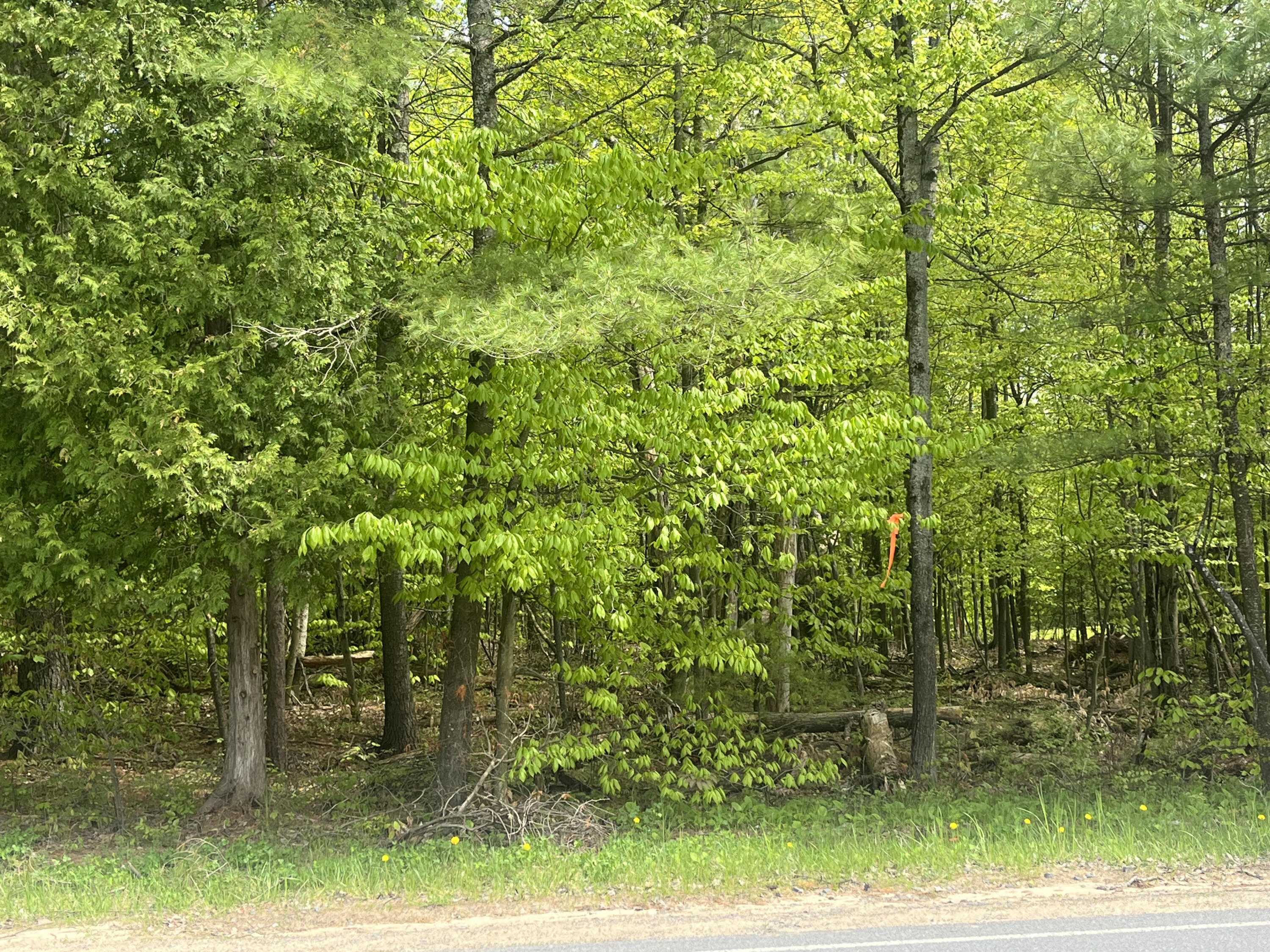 00 Trudeau Road Cadyville NY 12918