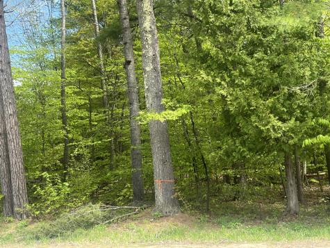 00 Trudeau Road Cadyville NY 12918