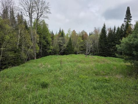 00 Tyler Road Vermontville NY 12989