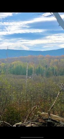 74 Hemlock Way Bloomingdale NY 12913