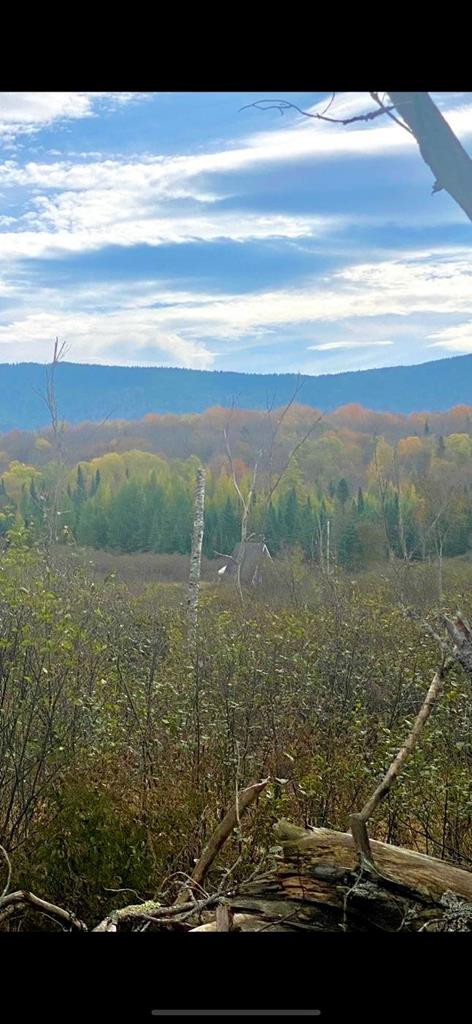 74 Hemlock Way Bloomingdale NY 12913