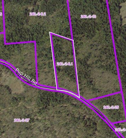 0 Pup Hill Road Saranac NY 12981
