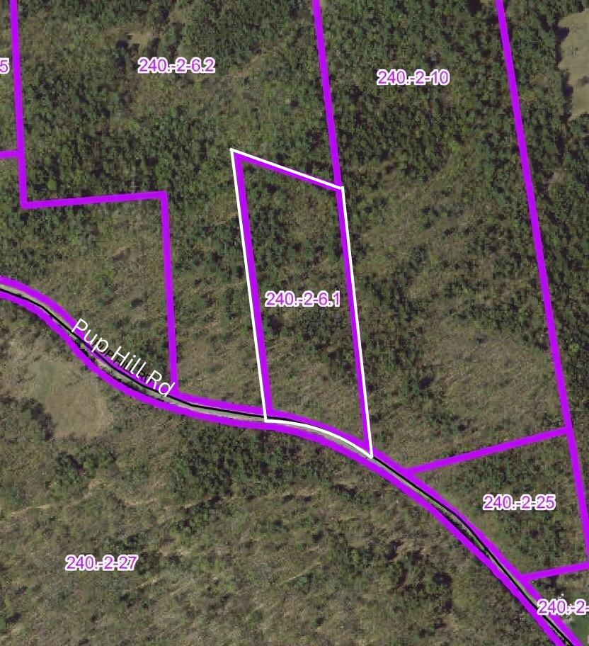 0 Pup Hill Road Saranac NY 12981