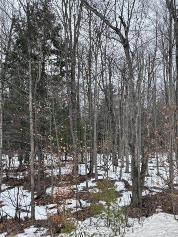 0 Pup Hill Road Saranac NY 12981