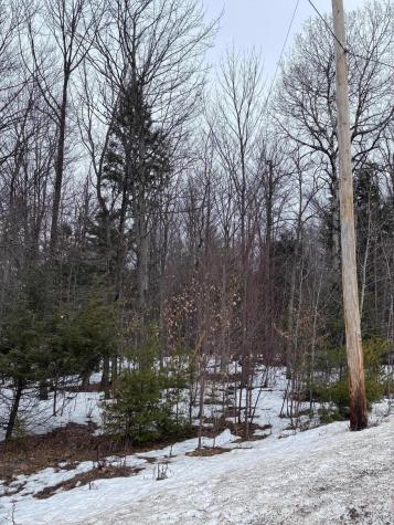 0 Pup Hill Road Saranac NY 12981