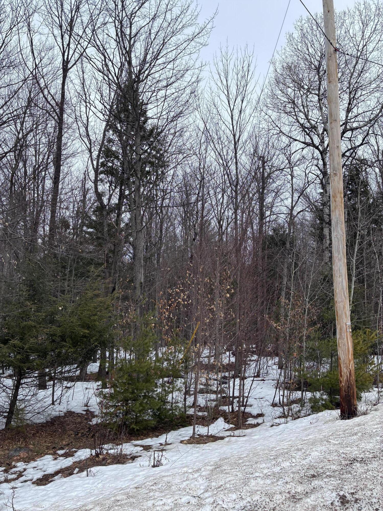 0 Pup Hill Road Saranac NY 12981
