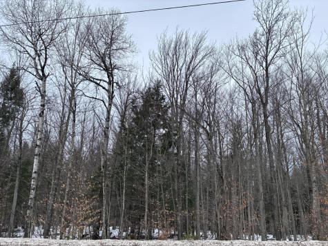 0 Pup Hill Road Saranac NY 12981