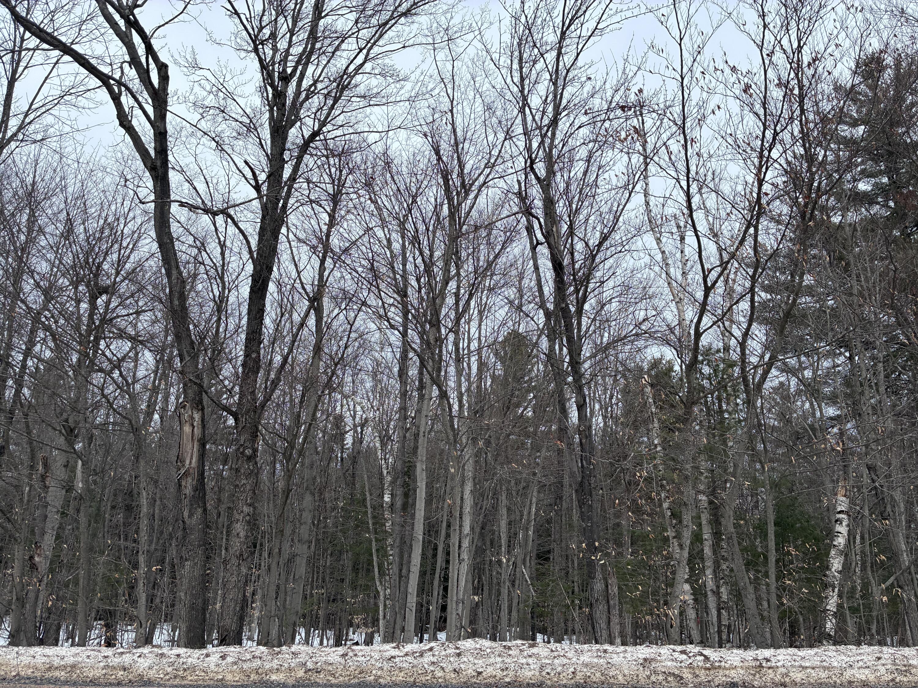 0 Pup Hill Road Saranac NY 12981