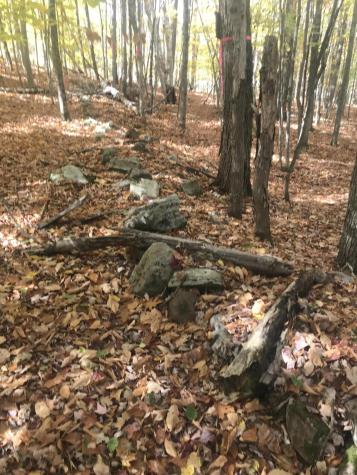 0 Pup Hill Road Saranac NY 12981