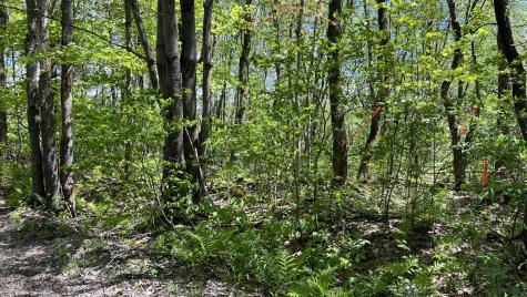 00 French Settlement Road Malone NY 12953