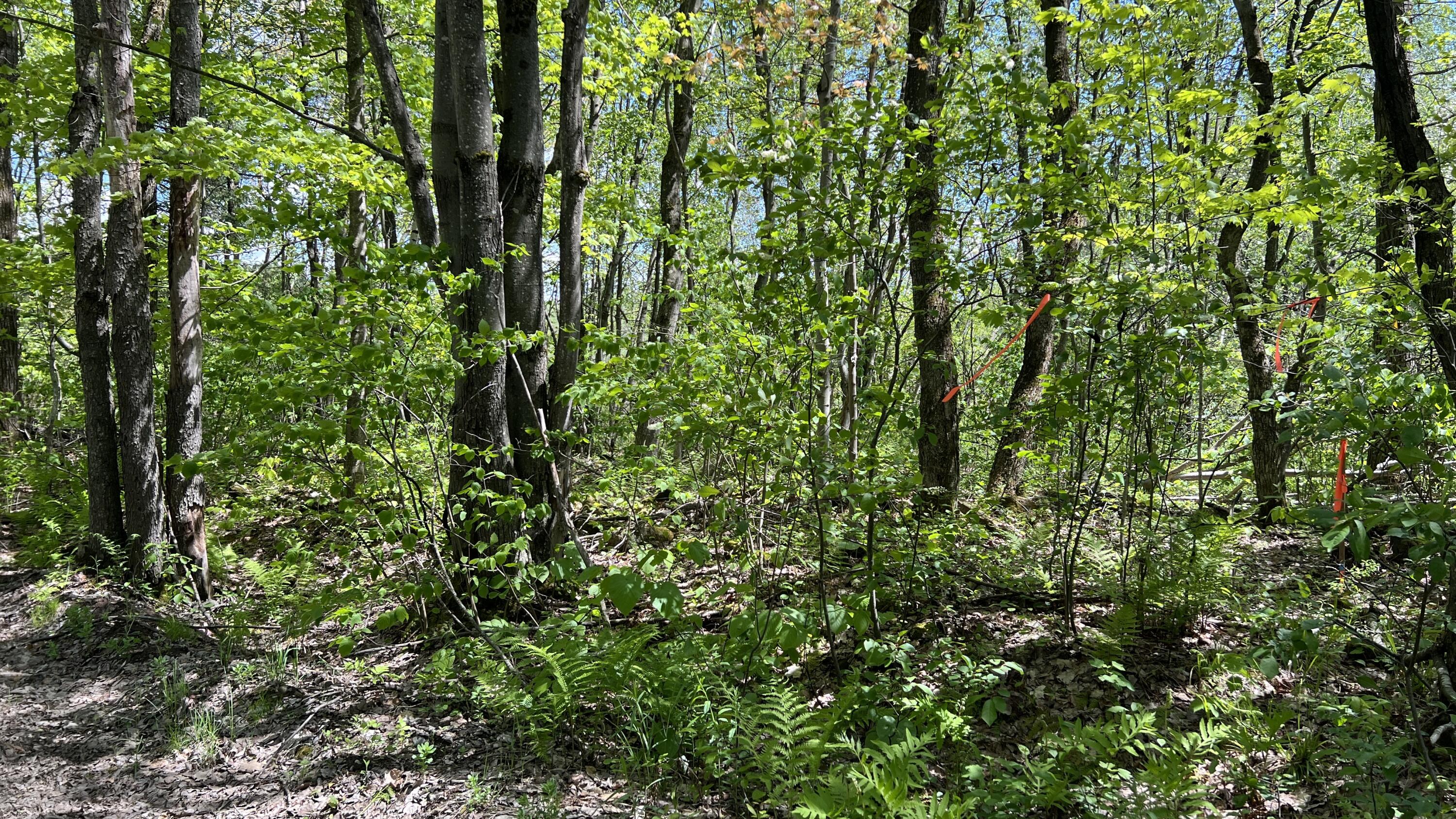00 French Settlement Road Malone NY 12953
