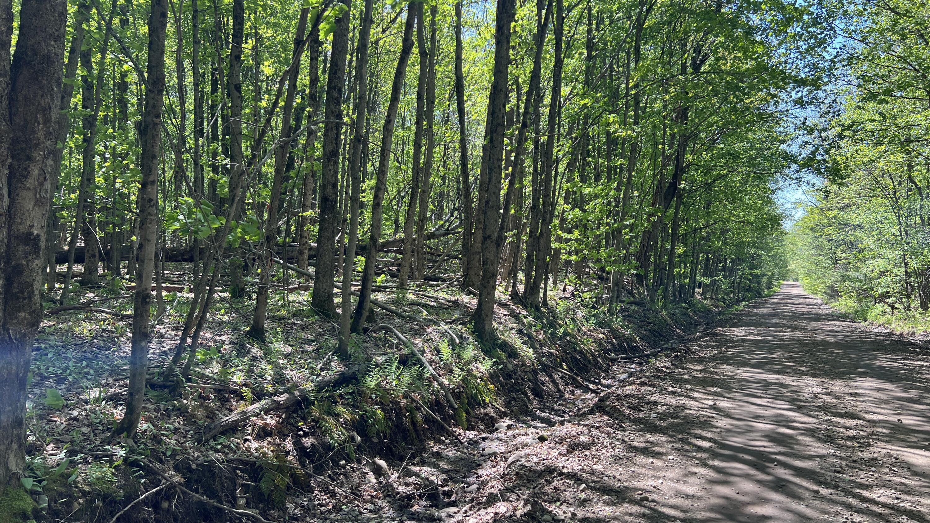 00 French Settlement Road Malone NY 12953