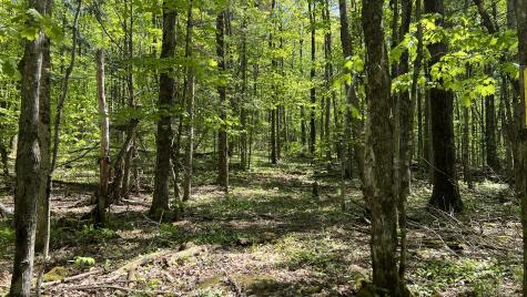 00 French Settlement Road Malone NY 12953