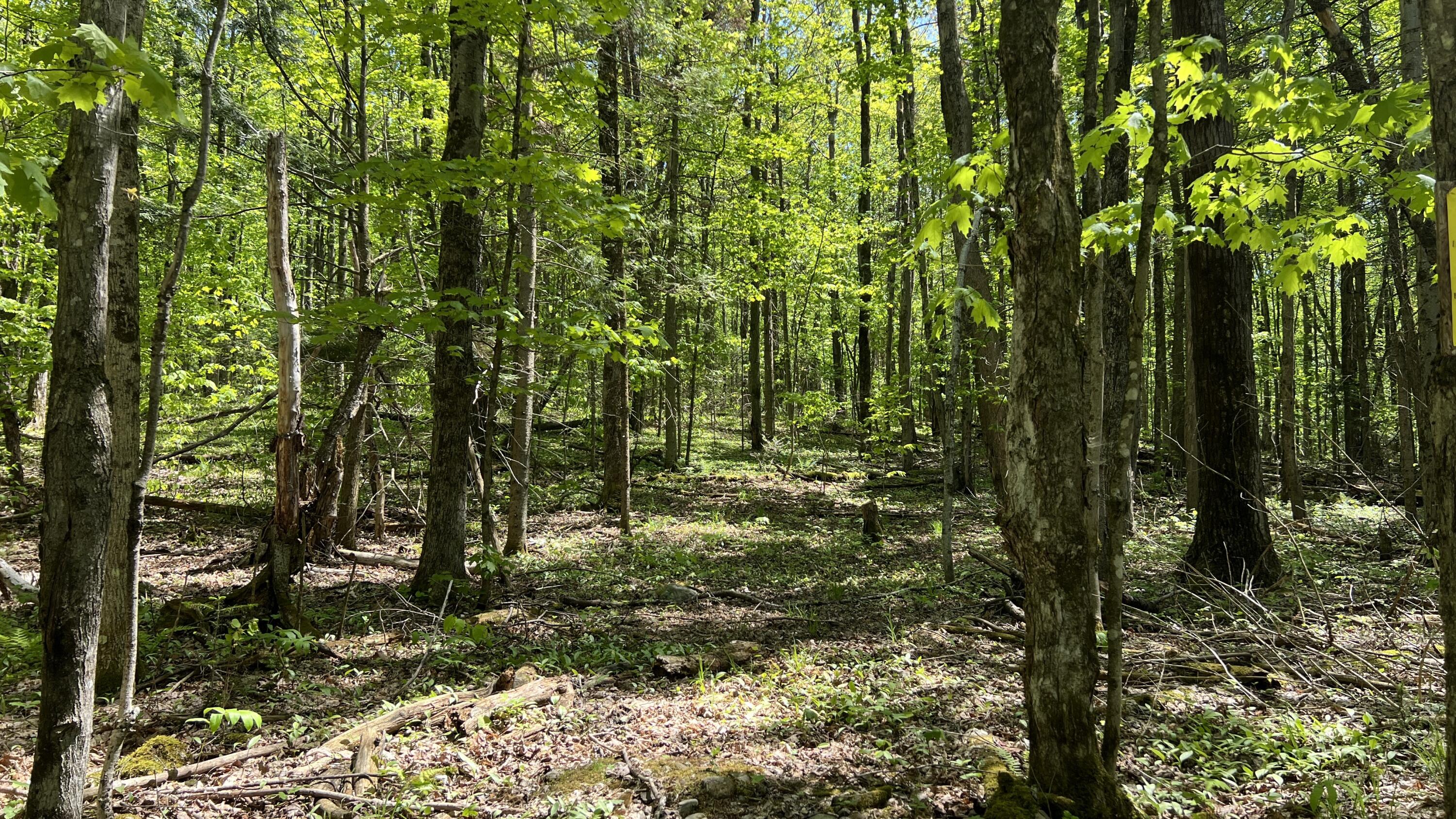 00 French Settlement Road Malone NY 12953