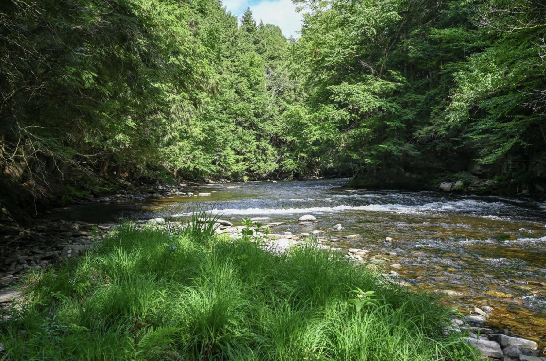 661 Chasm Road Chateaugay NY 12920