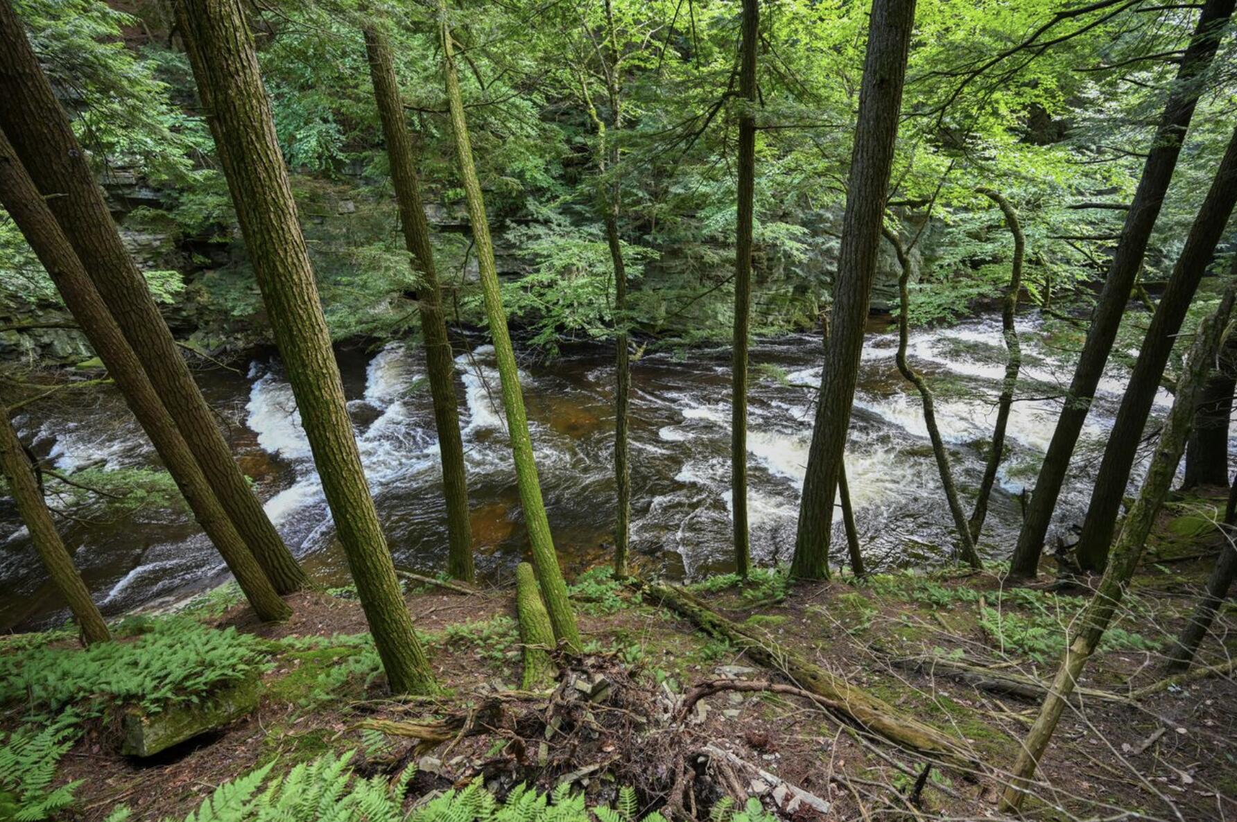 661 Chasm Road Chateaugay NY 12920