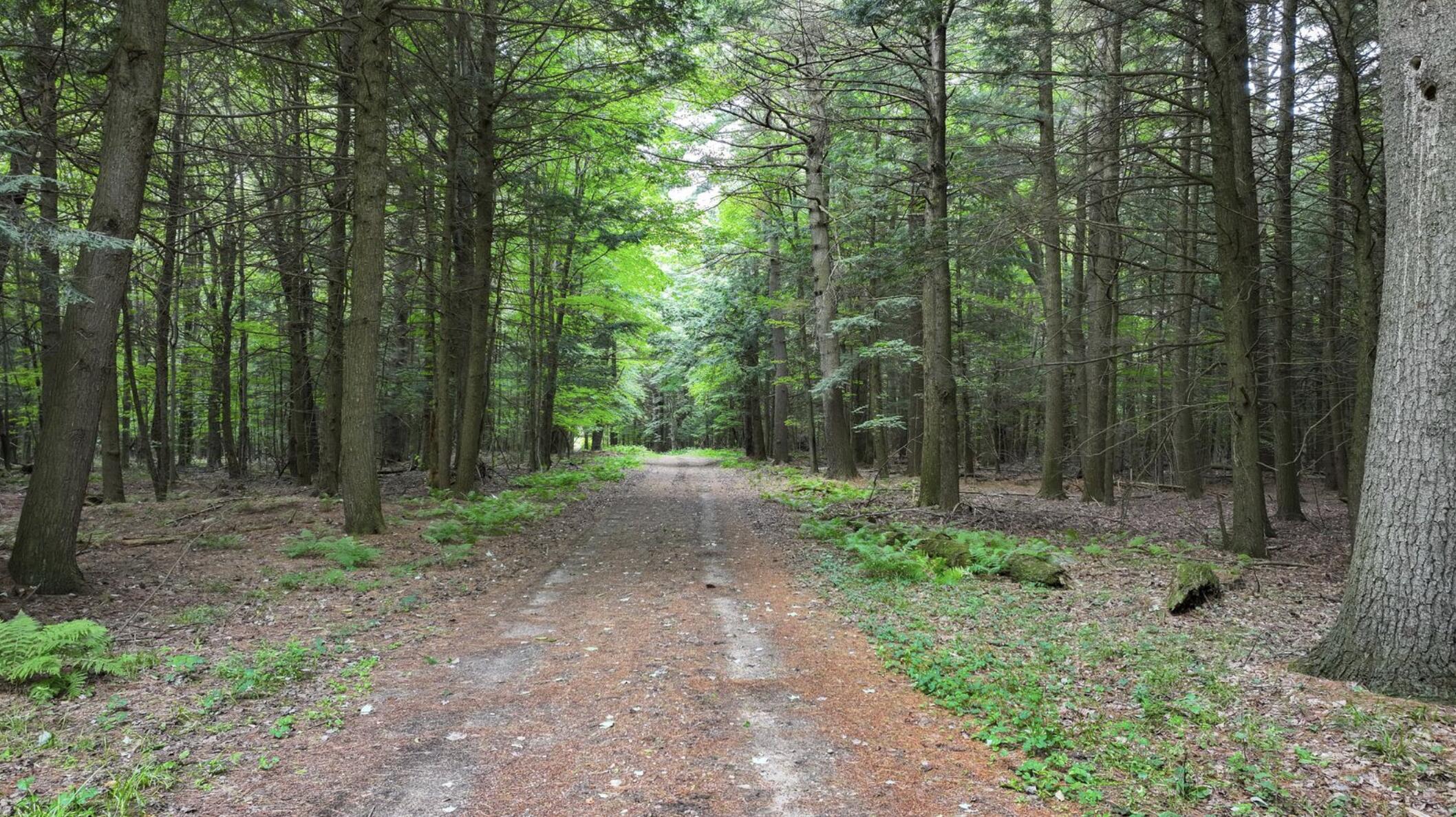 661 Chasm Road Chateaugay NY 12920