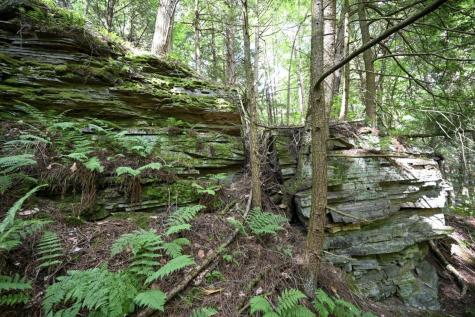 414 Chasm Road Chateaugay NY 12920