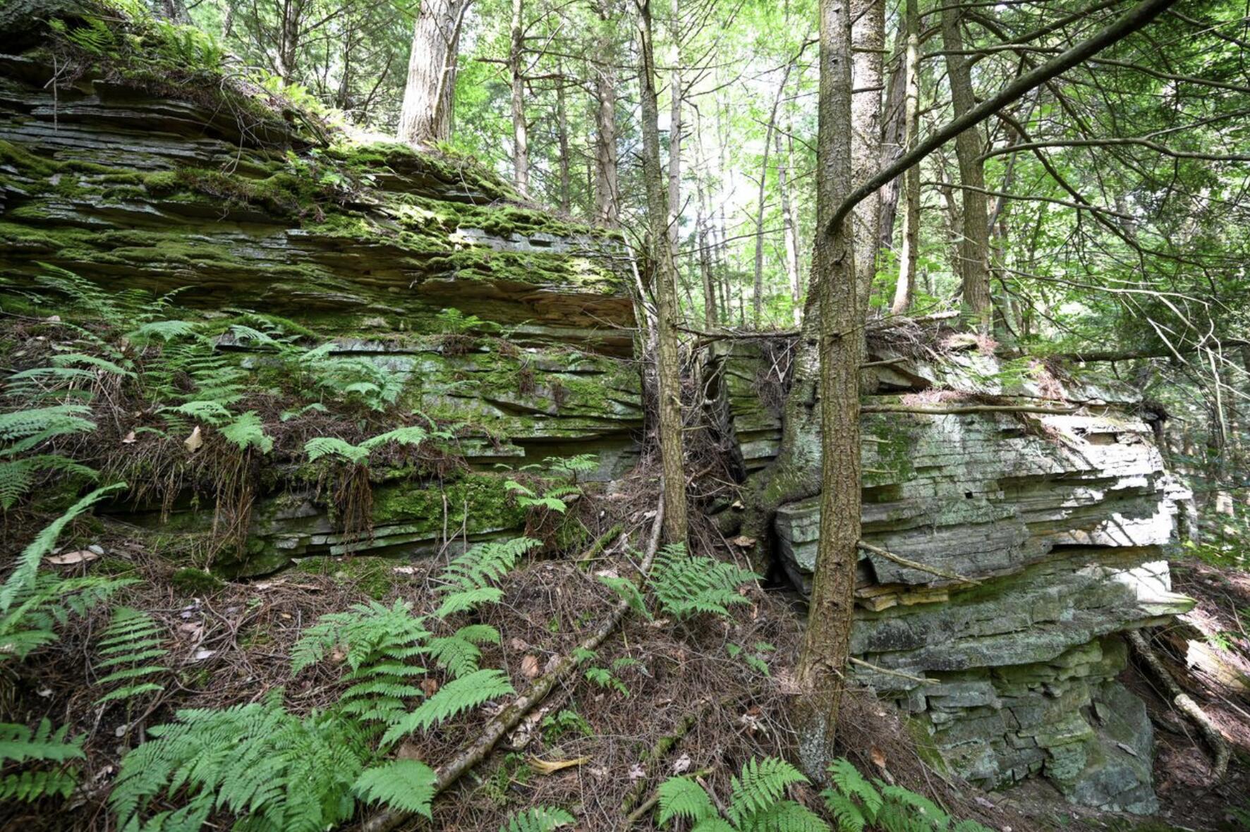 661 Chasm Road Chateaugay NY 12920