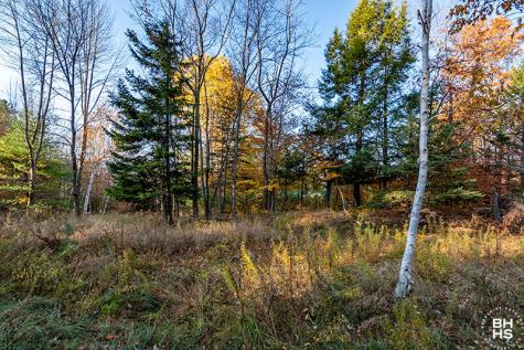 0 Mount Pisgah Park Saranac Lake NY 12983