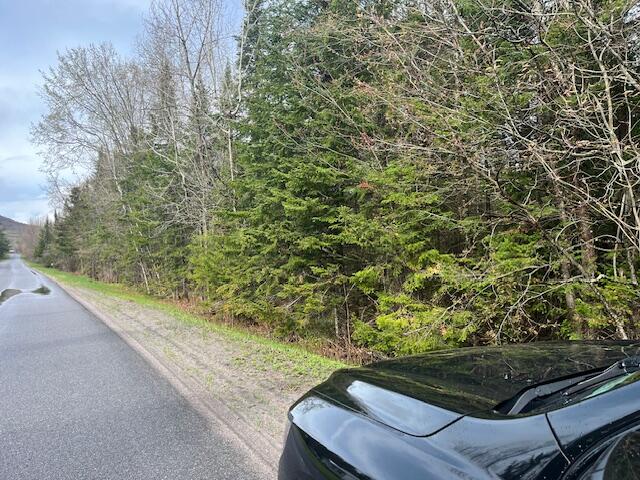 0 Wilfred King Road Ellenburg Depot NY 12935