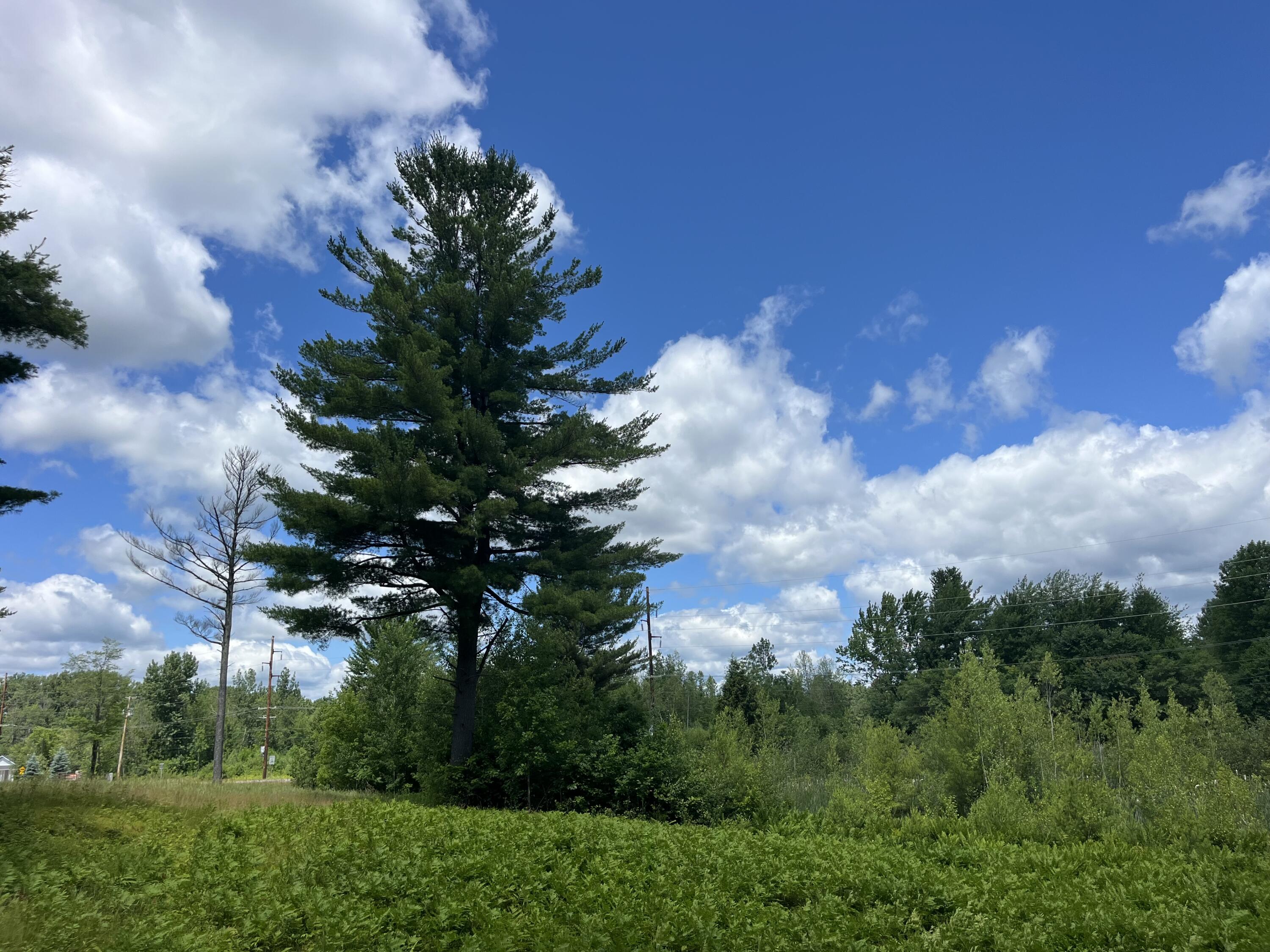 727 Bear Swamp Road Peru NY 12972