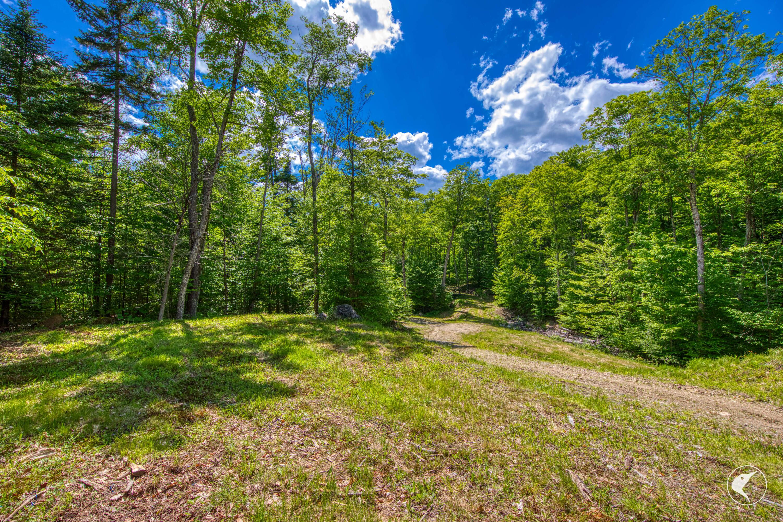 135 Mountain Lane Lake Placid NY 12946