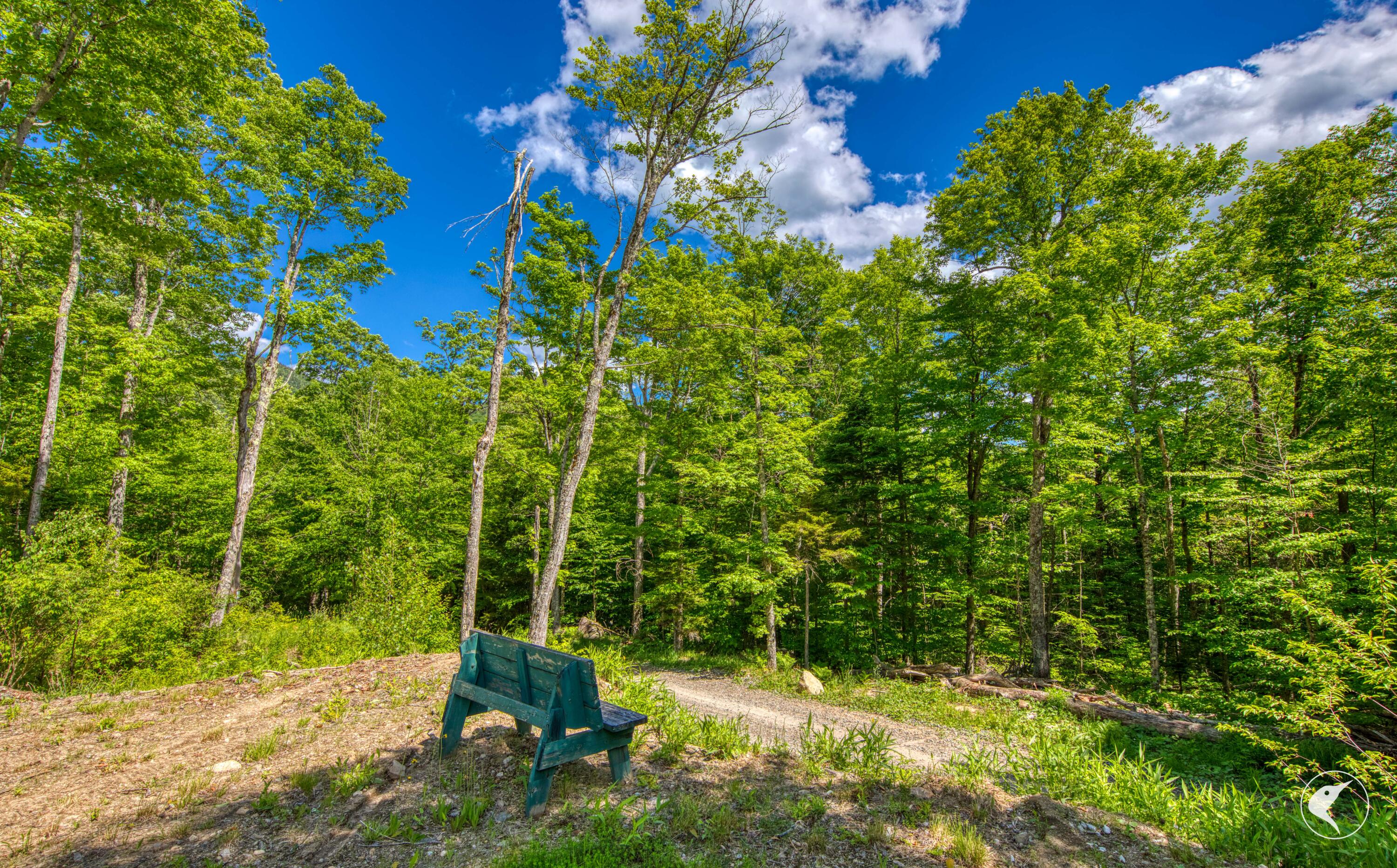 135 Mountain Lane Lake Placid NY 12946