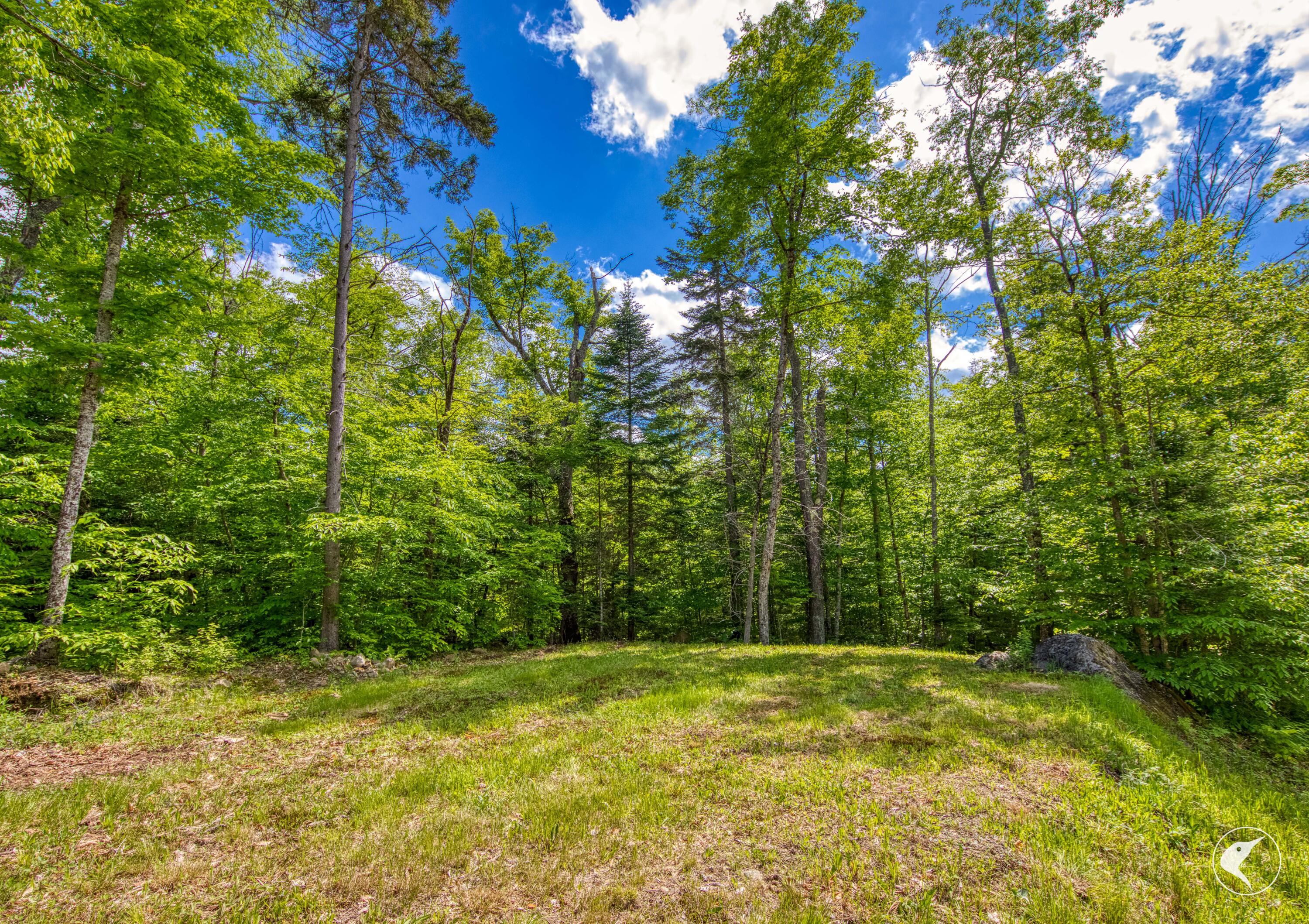 135 Mountain Lane Lake Placid NY 12946