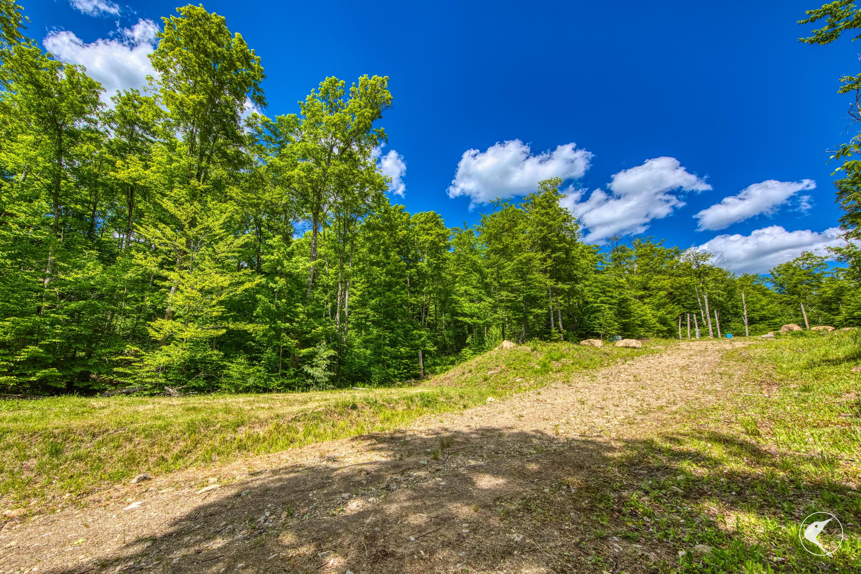 135 Mountain Lane Lake Placid NY 12946