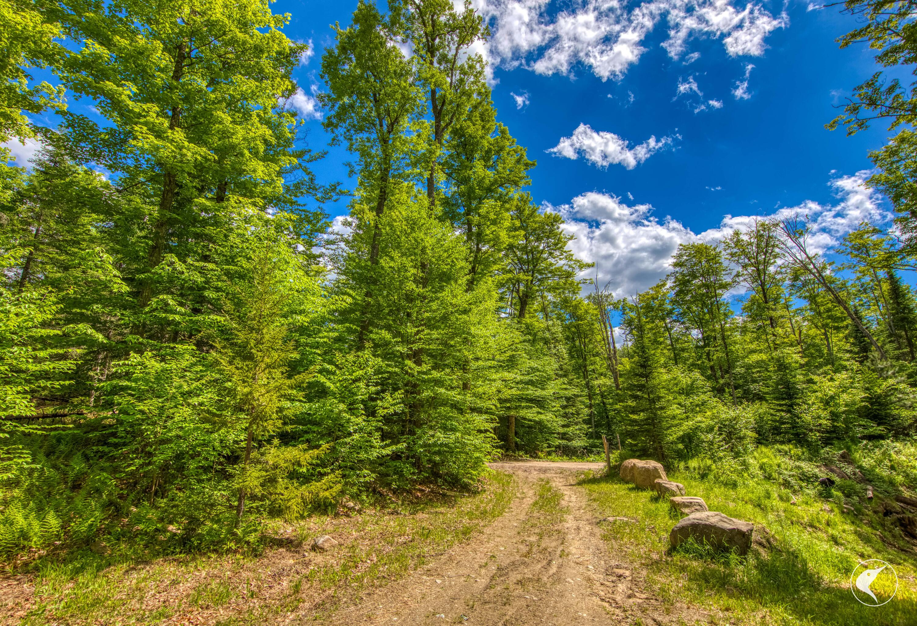 135 Mountain Lane Lake Placid NY 12946