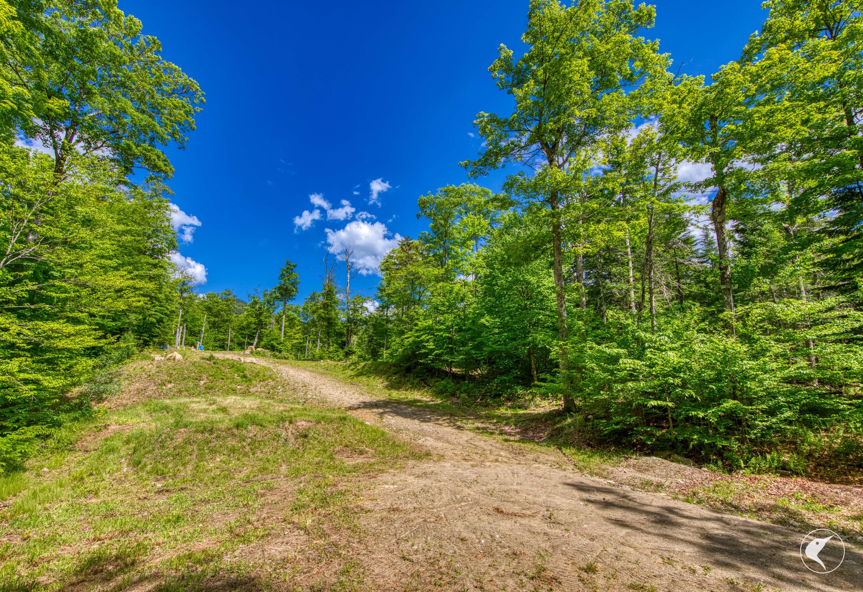 135 Mountain Lane Lake Placid NY 12946