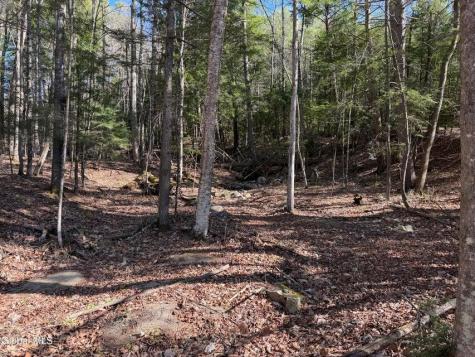 5509 Lincoln Pond (Lot 1) Road Elizabethtown NY 12932