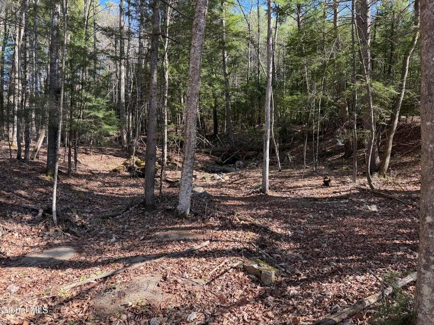5509 Lincoln Pond (Lot 1) Road Elizabethtown NY 12932