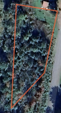 197 Moss Road Lewis NY 12950