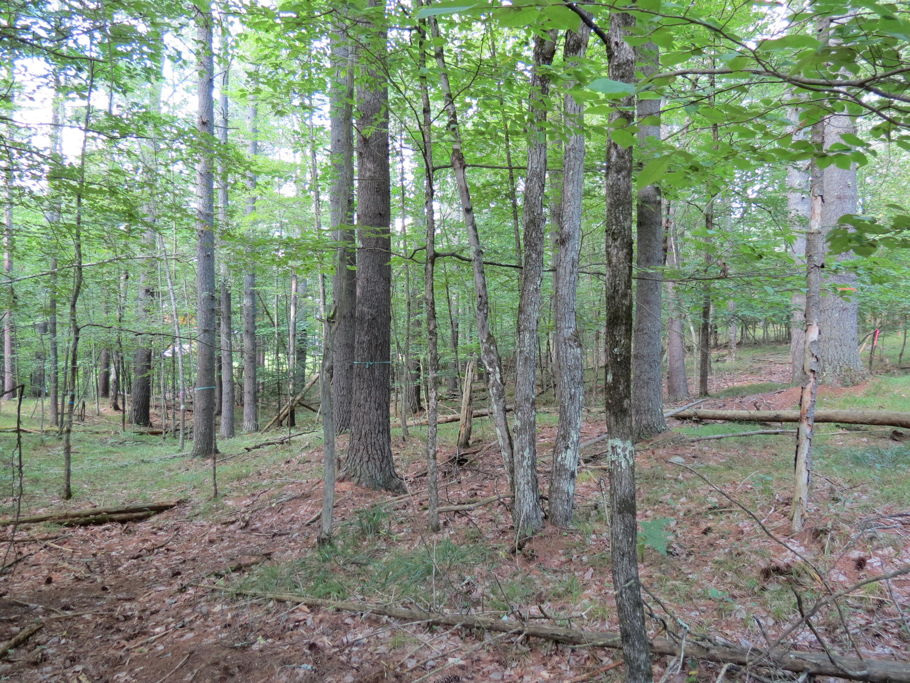 38 Algonquin Lane Jay NY 12941