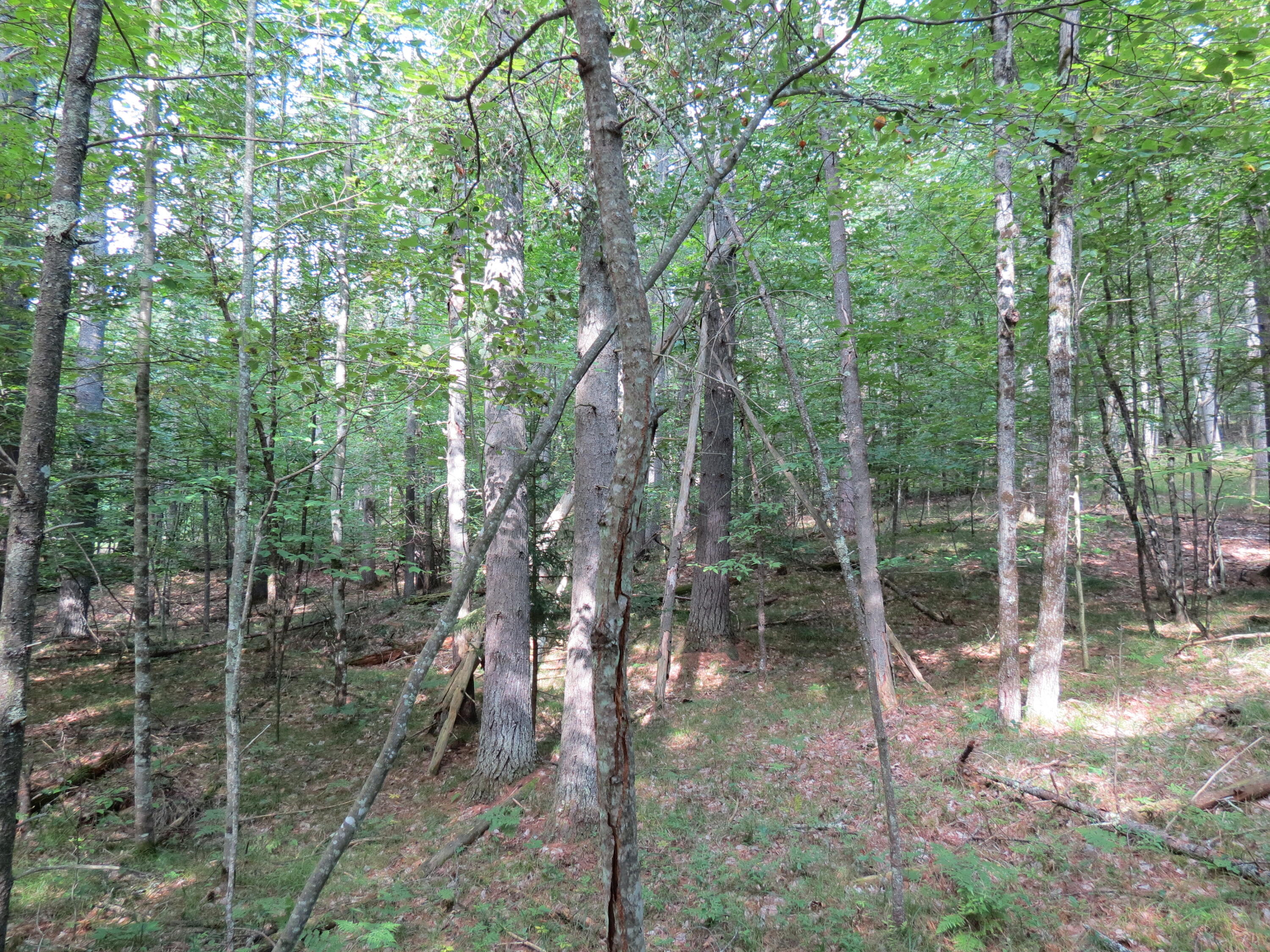38 Algonquin Lane Jay NY 12941