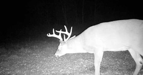 7168 Route 11 Churubusco NY 12923